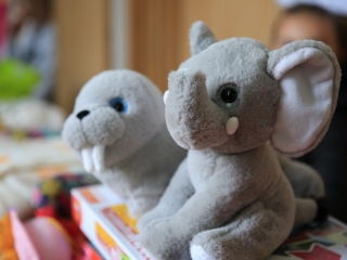 Csomagtartóvásár – 2022 november - fotó: 