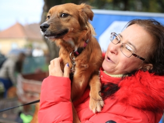 Csomagtartóvásár – 2022 november - fotó: 