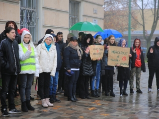 Élőlánc, demonstráció és nyílt fórum az oktatás válsága miatt - fotó: 