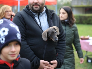 Karácsonyra hangolt és kivit is kínált a kincses forgatag - fotó: 