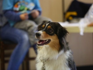 Felelős állattartás előadás a gyerekeknek - fotó: Ónodi Zoltán