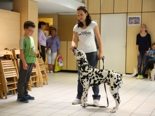 Felelős állattartás előadás a gyerekeknek - fotó: Ónodi Zoltán