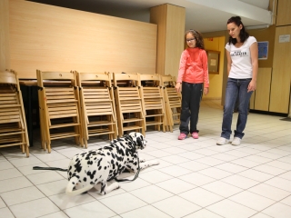 Felelős állattartás előadás a gyerekeknek - fotó: Ónodi Zoltán