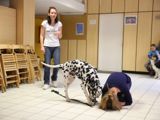 Felelős állattartás előadás a gyerekeknek - fotó: Ónodi Zoltán