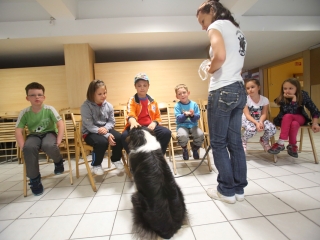 Felelős állattartás előadás a gyerekeknek - fotó: Ónodi Zoltán