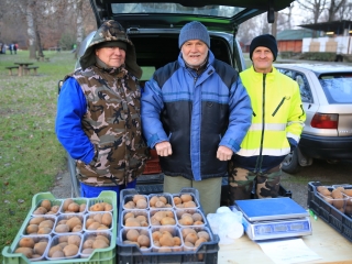 Ünnepi forgatag a Szalki-szigeten - fotó: 
