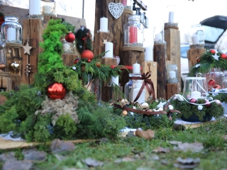 Ünnepi forgatag a Szalki-szigeten - fotó: 