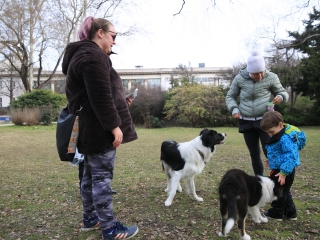 Családi farsang kutyusokkal – a felelős állattartás jegyében - fotó: 
