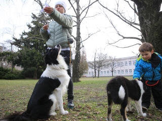 Családi farsang kutyusokkal – a felelős állattartás jegyében - fotó: 