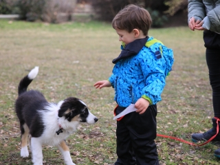 Családi farsang kutyusokkal – a felelős állattartás jegyében - fotó: 