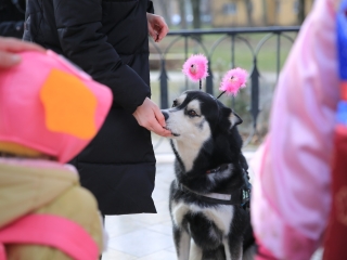 Családi farsang kutyusokkal – a felelős állattartás jegyében - fotó: 