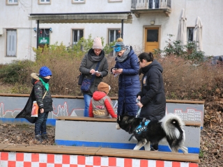 Családi farsang kutyusokkal – a felelős állattartás jegyében - fotó: 