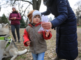 Családi farsang kutyusokkal – a felelős állattartás jegyében - fotó: 