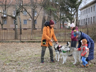 Családi farsang kutyusokkal – a felelős állattartás jegyében - fotó: 
