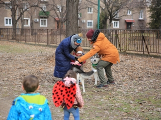 Családi farsang kutyusokkal – a felelős állattartás jegyében - fotó: 