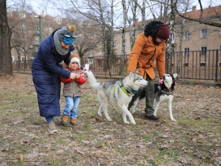 Családi farsang kutyusokkal – a felelős állattartás jegyében - fotó: 