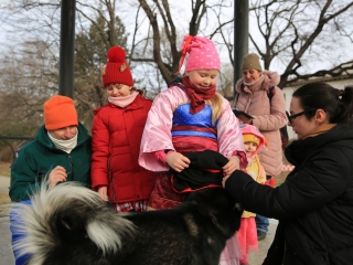 Családi farsang kutyusokkal – a felelős állattartás jegyében - fotó: 