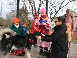 Családi farsang kutyusokkal – a felelős állattartás jegyében - fotó: 