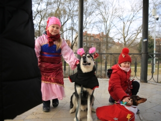 Családi farsang kutyusokkal – a felelős állattartás jegyében - fotó: 