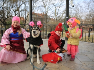 Családi farsang kutyusokkal – a felelős állattartás jegyében - fotó: 