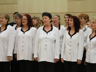 Megyenapi kitüntetések - fotó: Sándor Judit