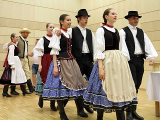 Megyenapi kitüntetések - fotó: Sándor Judit