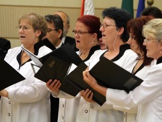 Megyenapi kitüntetések - fotó: Sándor Judit