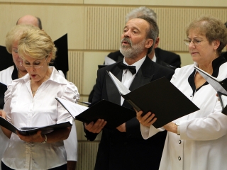 Megyenapi kitüntetések - fotó: Sándor Judit