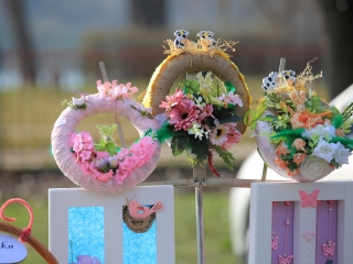 Februári forgatag a Szalki-szigeten - fotó: 