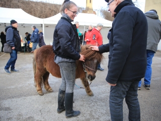 XI. Kolbásztöltő Fesztivál - fotó: 