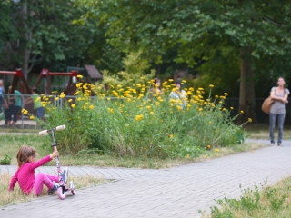 Zenepavilon- Edith Piaf zenés életrajz - fotó: Ónodi Zoltán
