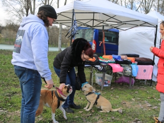 I. Dunaújvárosi Halfesztivál - fotó: 