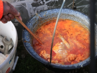 I. Dunaújvárosi Halfesztivál - fotó: 