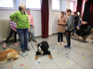 Nap-éj egyenlőségi kutyás-tüzes forgatag - fotó: 