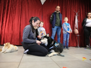 Nap-éj egyenlőségi kutyás-tüzes forgatag - fotó: 