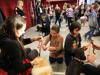 Nap-éj egyenlőségi kutyás-tüzes forgatag - fotó: 