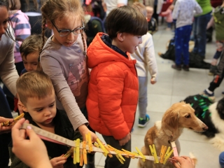 Nap-éj egyenlőségi kutyás-tüzes forgatag - fotó: 