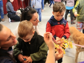 Nap-éj egyenlőségi kutyás-tüzes forgatag - fotó: 