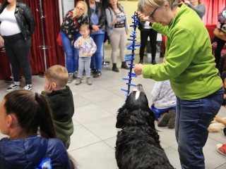 Nap-éj egyenlőségi kutyás-tüzes forgatag - fotó: 