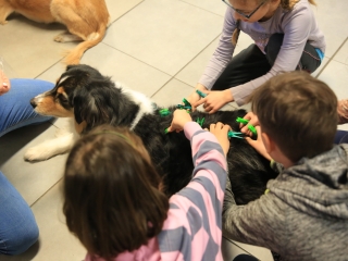 Nap-éj egyenlőségi kutyás-tüzes forgatag - fotó: 