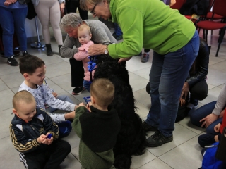 Nap-éj egyenlőségi kutyás-tüzes forgatag - fotó: 