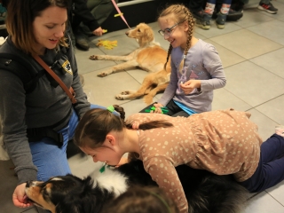 Nap-éj egyenlőségi kutyás-tüzes forgatag - fotó: 