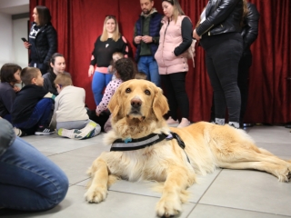 Nap-éj egyenlőségi kutyás-tüzes forgatag - fotó: 