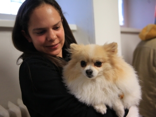 Nap-éj egyenlőségi kutyás-tüzes forgatag - fotó: 