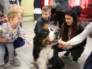 Nap-éj egyenlőségi kutyás-tüzes forgatag - fotó: 