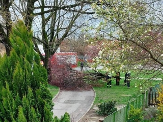 Szélvihar, fakidőlések Dunaújvárosban - fotó: 