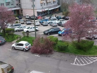 Szélvihar, fakidőlések Dunaújvárosban - fotó: 