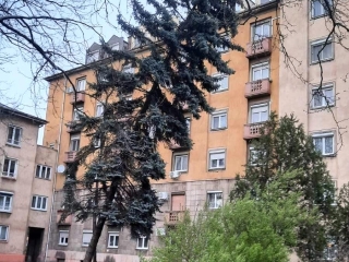 Szélvihar, fakidőlések Dunaújvárosban - fotó: 