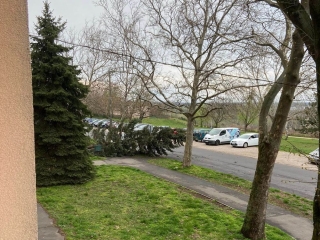 Szélvihar, fakidőlések Dunaújvárosban - fotó: 