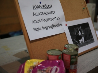 VII. Dunaújváros Open - fotó: 